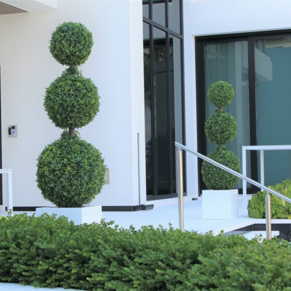 Triple Sphere Topiary with Medium Block Fiberglass Pot – The Ever Botanic