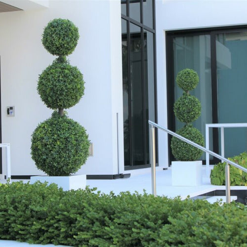 Triple Sphere Topiary with Medium Block Fiberglass Pot – The Ever Botanic