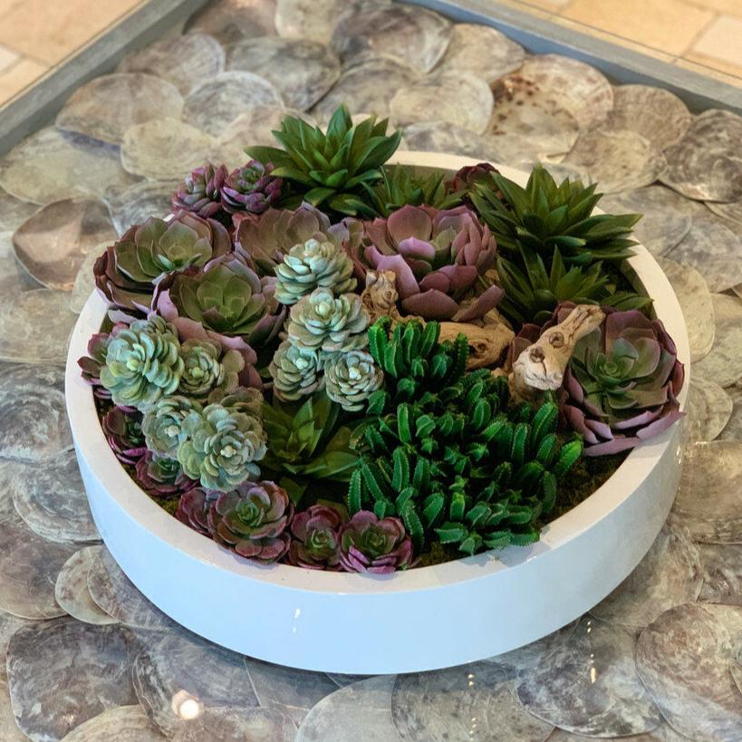 Max Bowl with Mixed Succulents – The Ever Botanic
