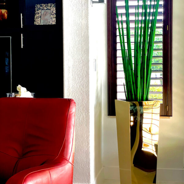 Golden Cube Vase with Snake Grass – The Ever Botanic