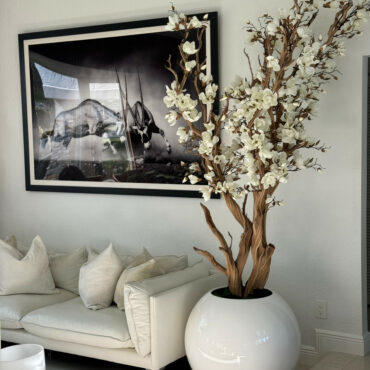 White magnolia tree in shiny white globe pot 30" – The Ever Botanic