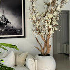 White magnolia tree in shiny white globe pot 30" – The Ever Botanic