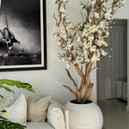 White magnolia tree in shiny white globe pot, 76 cm – The Ever Botanic