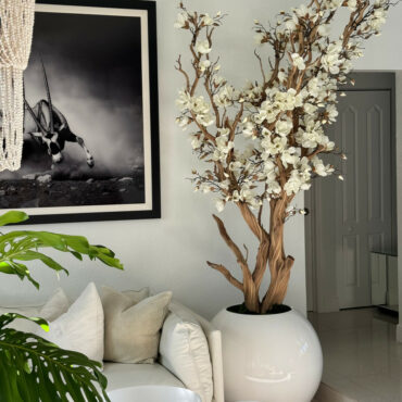 White magnolia tree in shiny white globe pot 30" – The Ever Botanic