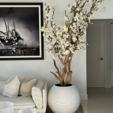 White Magnolia Tree in Glossy White Globe Pot, 76 cm – The Ever Botanic