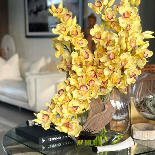 Yellow Cymbidiums in Lunar Pot – The Ever Botanic
