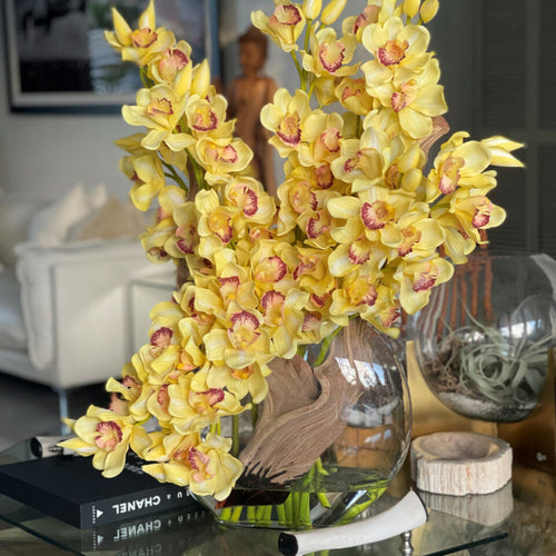 Yellow Cymbidiums in Lunar Pot – The Ever Botanic