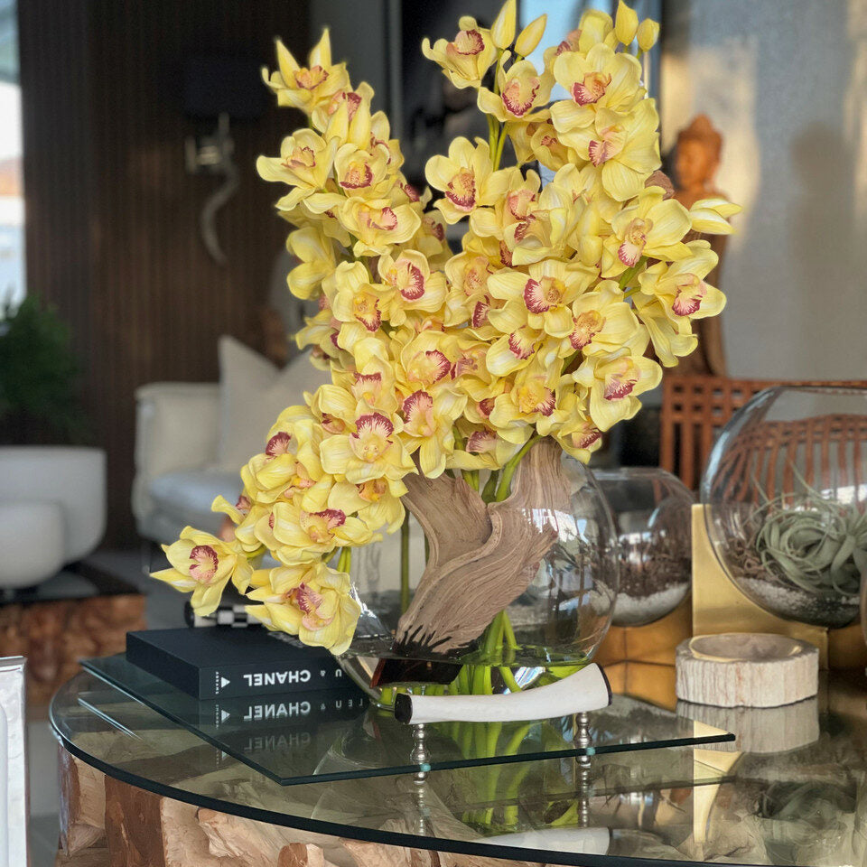 Yellow Cymbidiums in Lunar Pot – The Ever Botanic