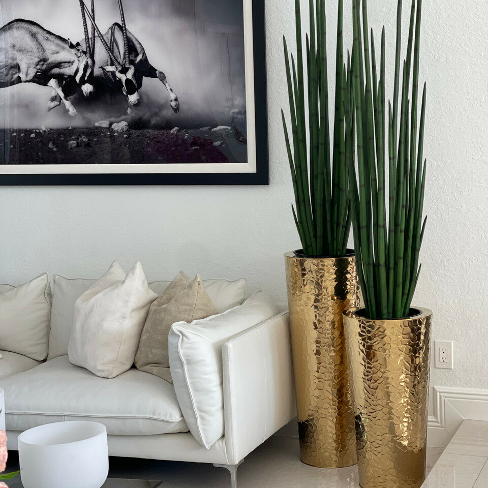 Gold Stainless Steel Cone Vase with Large Snake Grass Plant – The Ever Botanic