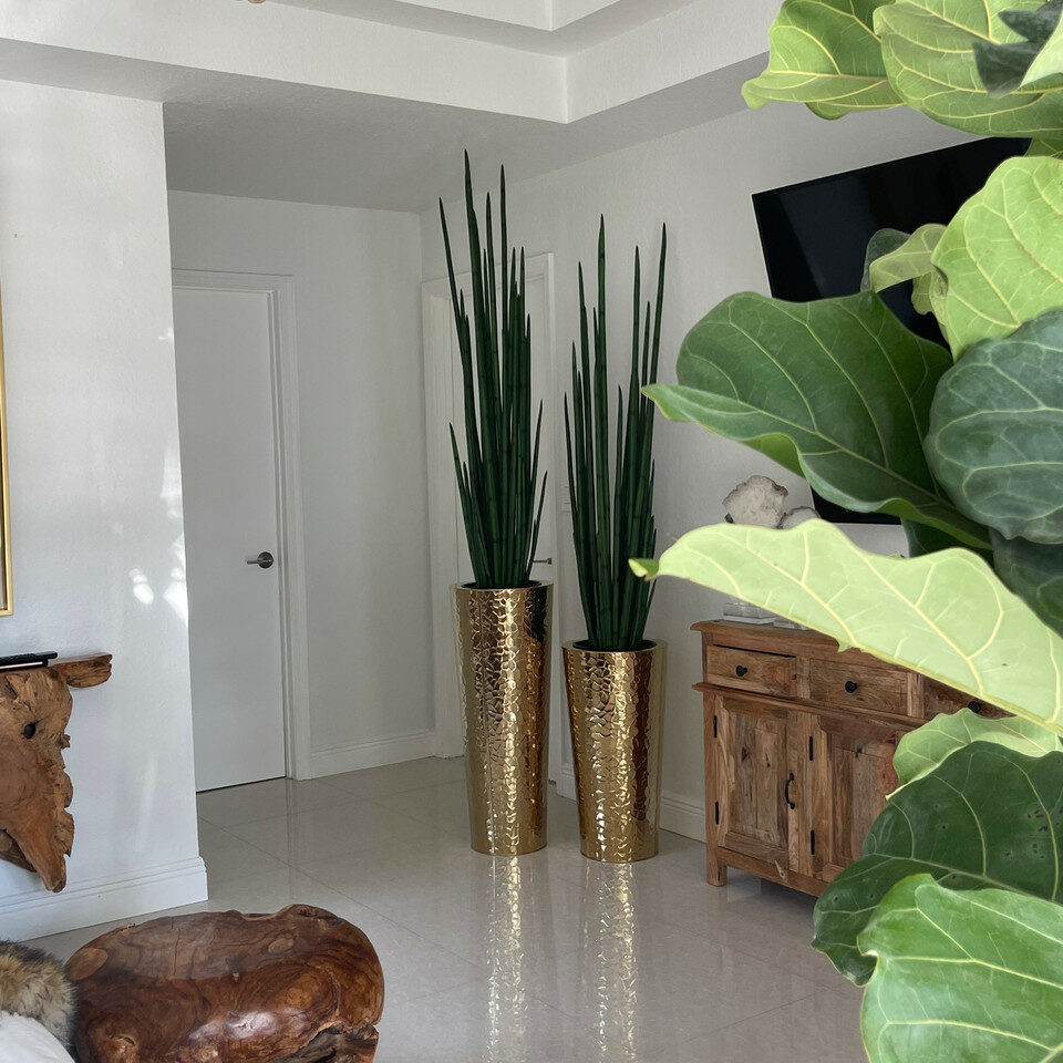 Gold Stainless Steel Cone Vase with Large Snake Grass Plant – The Ever Botanic