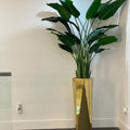 Golden prism vase with Bird of Paradise (7') – The Ever Botanic