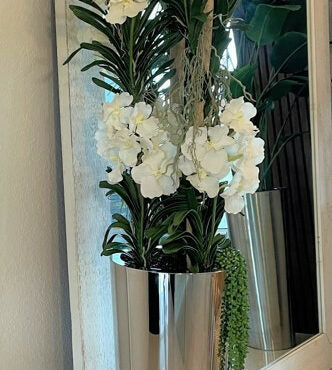 White Vandas in Stainless Steel Cone Planter – The Ever Botanic