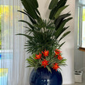Mix of Tropical Plants in Cobalt Blue Globe Pot – The Ever Botanic