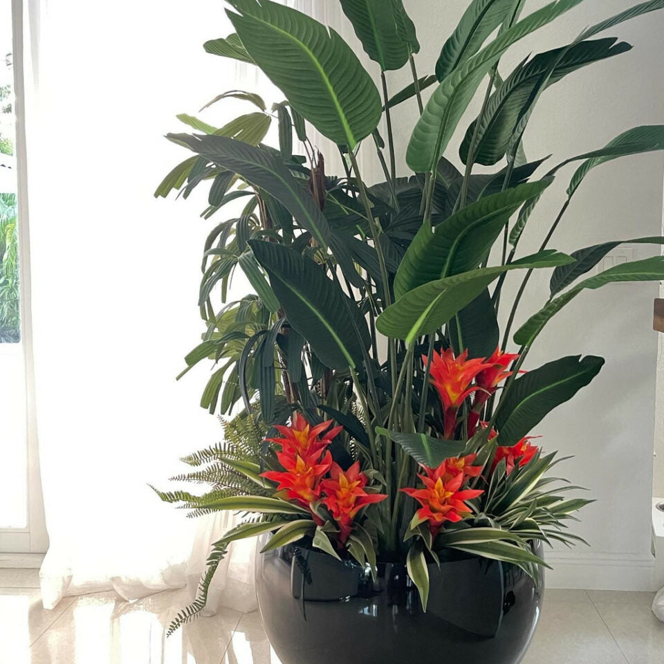 Tropical Plant Arrangement in Black Terragona Pot – The Ever Botanic