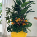 Mix of Tropical Plants in Yellow Globe Pot – The Ever Botanic