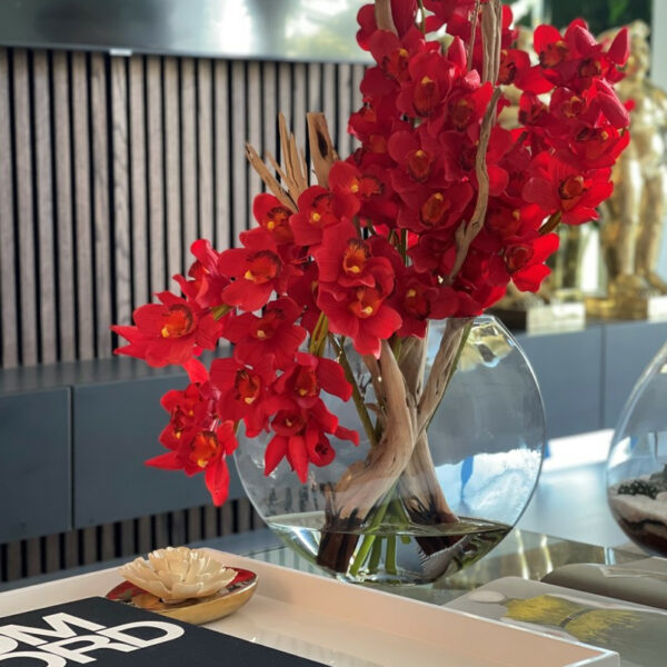Red Cymbidium Orchids in Moon Planter – The Ever Botanic