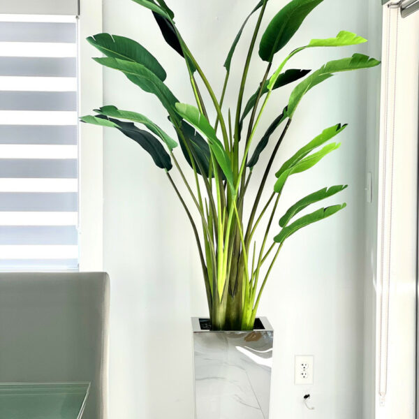 Medium stainless steel cube vase with Bird of Paradise (7') – The Ever Botanic