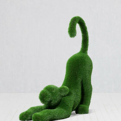 Topiary "Stretching Baby Lion" – The Ever Botanic