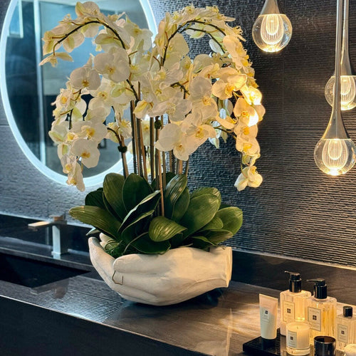 White Phalaenopsis Orchids in Vase with Sculpture "Open Hands" – The Ever Botanic