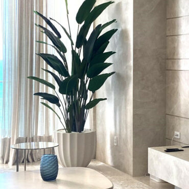 Santa Barbara Planter Pot in Matte Beige with Bird of Paradise Plant – The Ever Botanic
