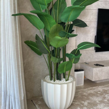 Santa Barbara Planter Pot in Matte Beige with Bird of Paradise Plant – The Ever Botanic