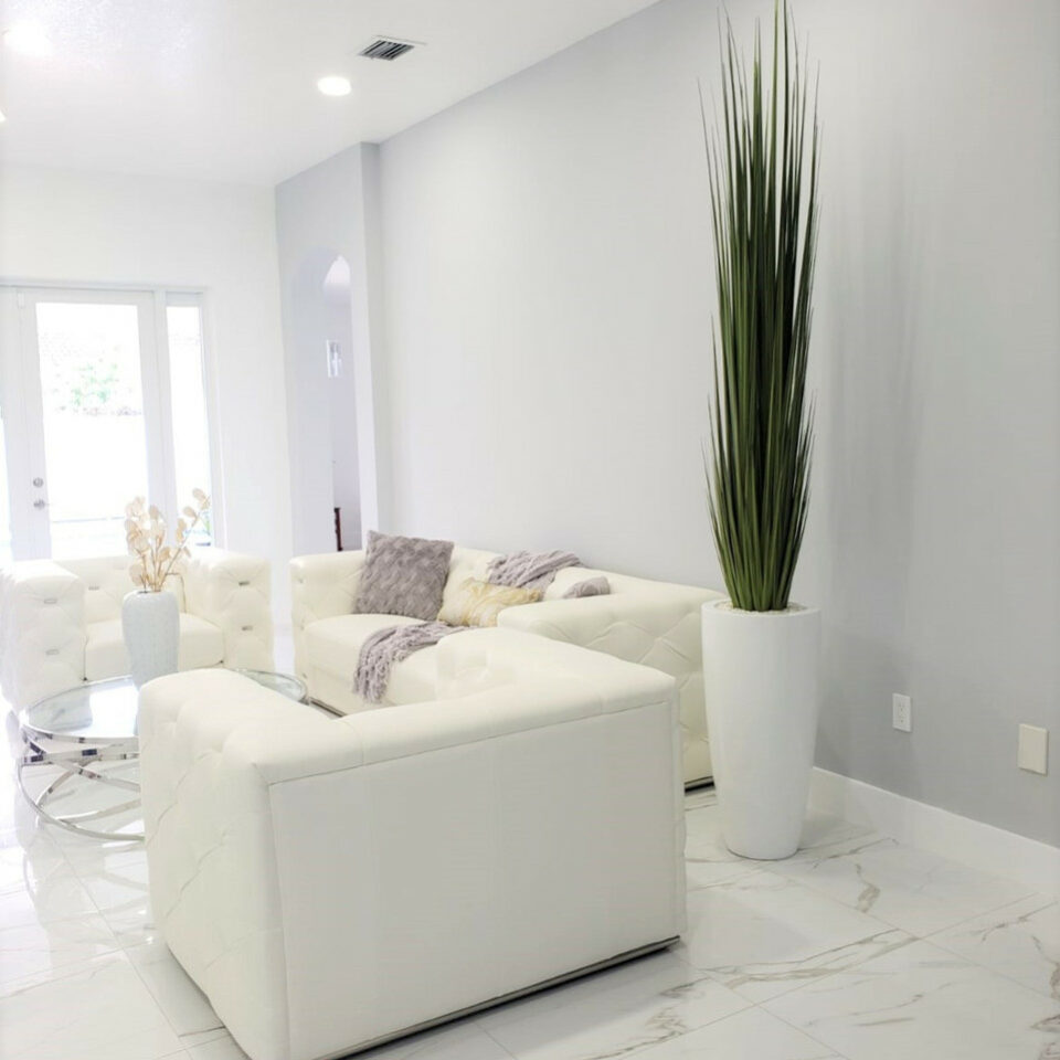 Large Dax Vase with Rush Grass – The Ever Botanic