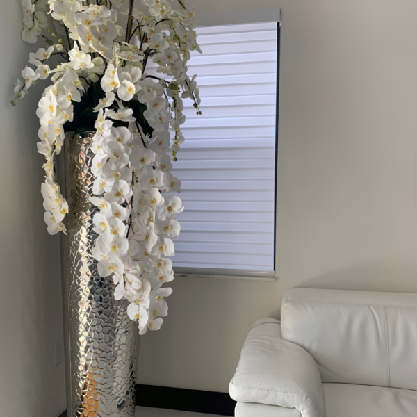Phalaenopsis Orchids in Extra Tall Hammered Pot – The Ever Botanic