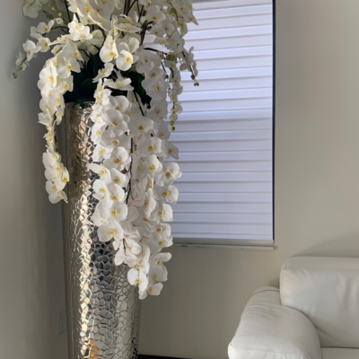Phalaenopsis Orchids in Extra Tall Hammered Pot – The Ever Botanic